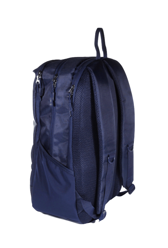 Pegasus Palmerians RFC Stealth Backpack