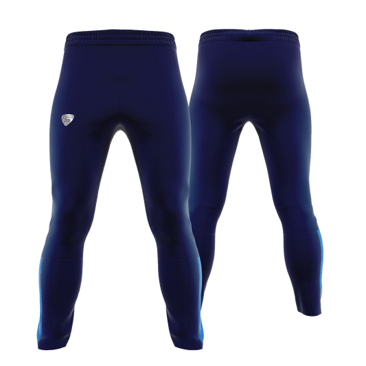 FENTON GILD SKINNY PANTS