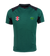 HAROLD WOOD CC SENIOR SS PRO T20 SHIRT